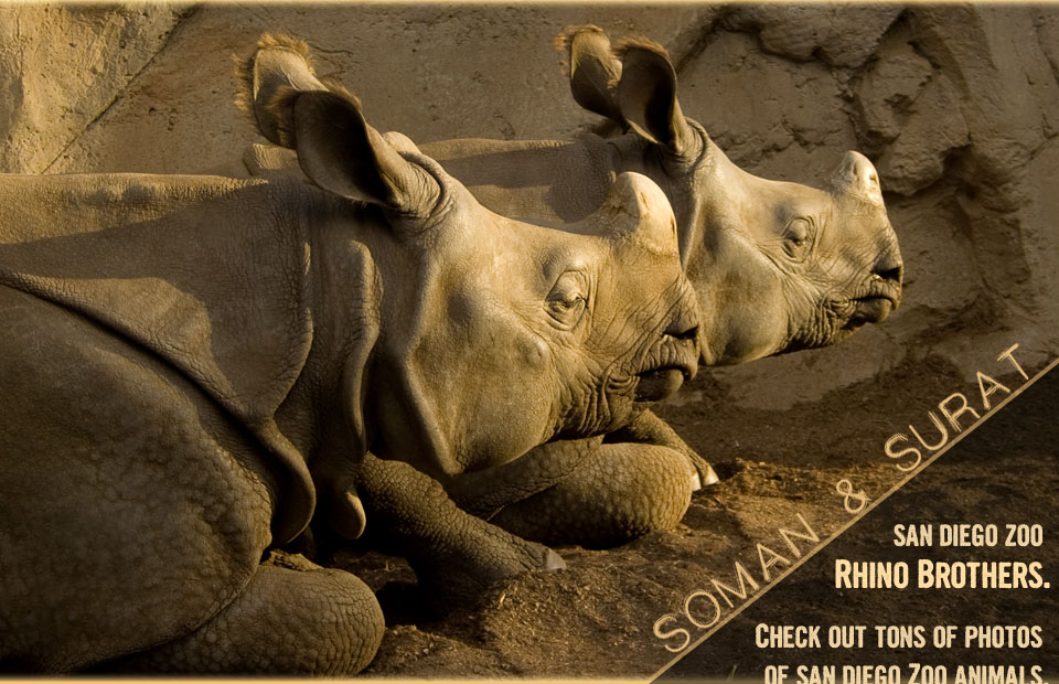 home page image